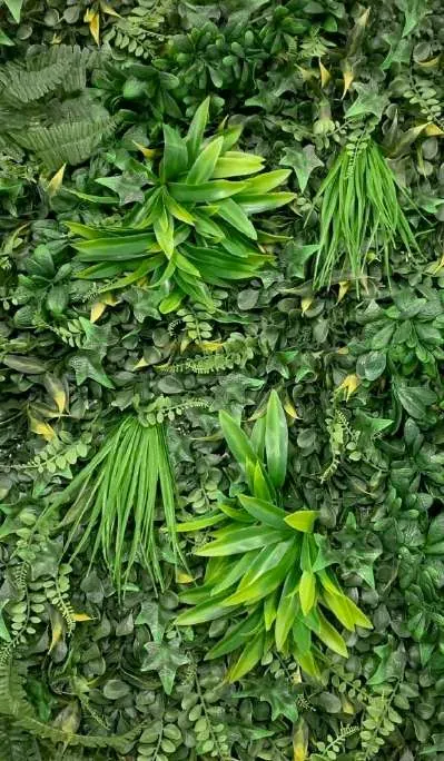 Muro verde Deluxe Brooklyn, tono mixto